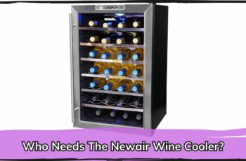 Who Needs The Newair Wine Cooler?